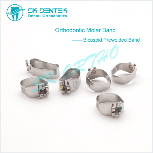 Orthodontic Bicuspid Band