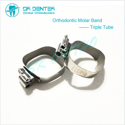 Orthodontic Triple Band