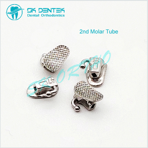 2nd Molar Tube Wide Entrance