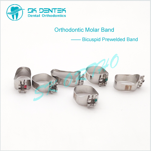Orthodontic Molar Band with Double Tube