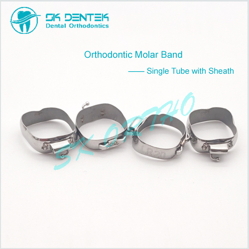 Orthodontic Molar Band with Tube and Cleath