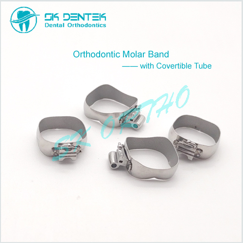 Orthodontic Molar Band with Convertible Tube