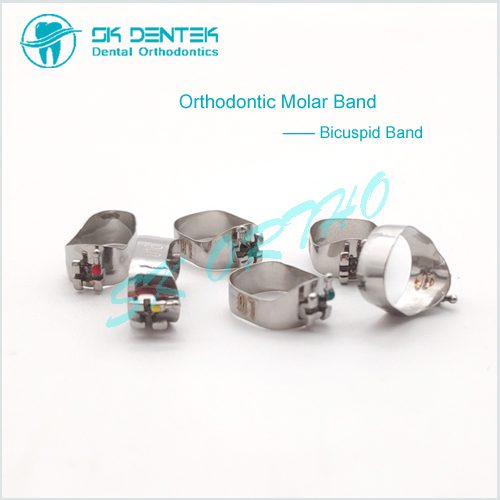  Dental Orthodontic 1st Bicuspid Band with Pre-welded Bracket Ortho Pre-molar Bands Kits