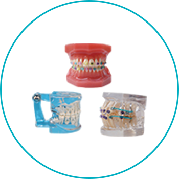 Disposables and Oral Care
