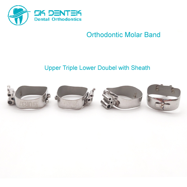 1st Molar Band with Triple Tube Upper and Double Tube Lower and with Cleath Orthodontic Triple Tube Bands